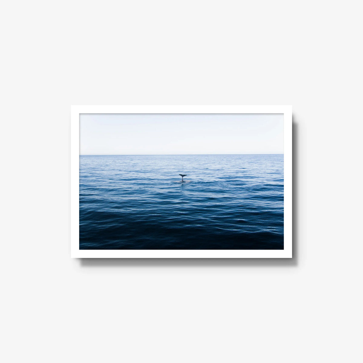 A Far — medium / white / full
