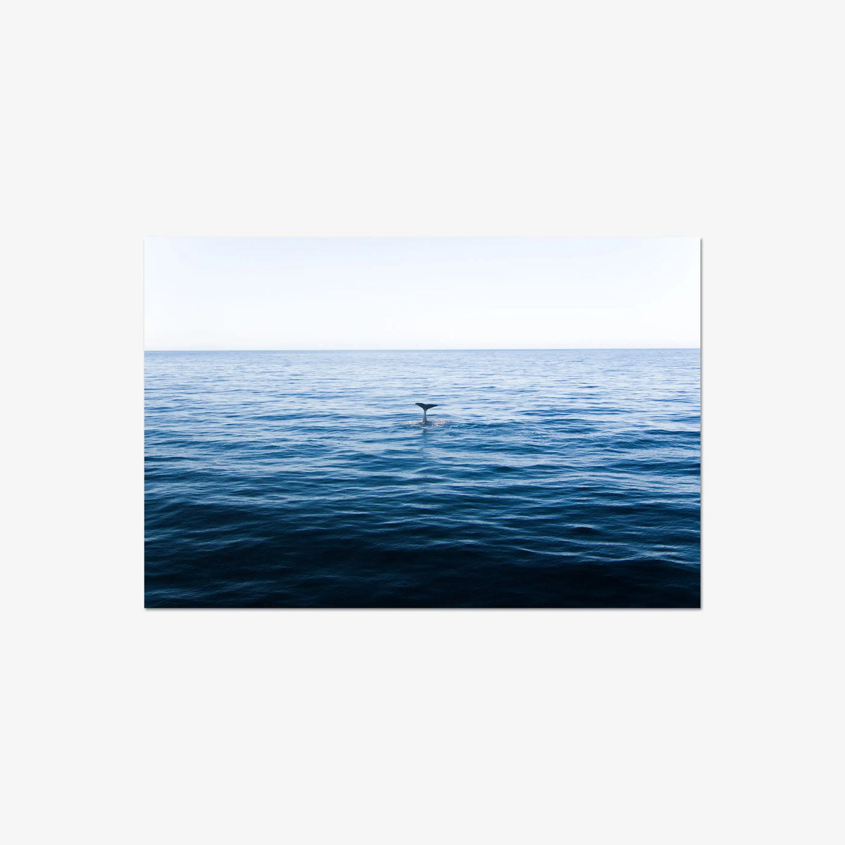 A Far — large / print / n/a