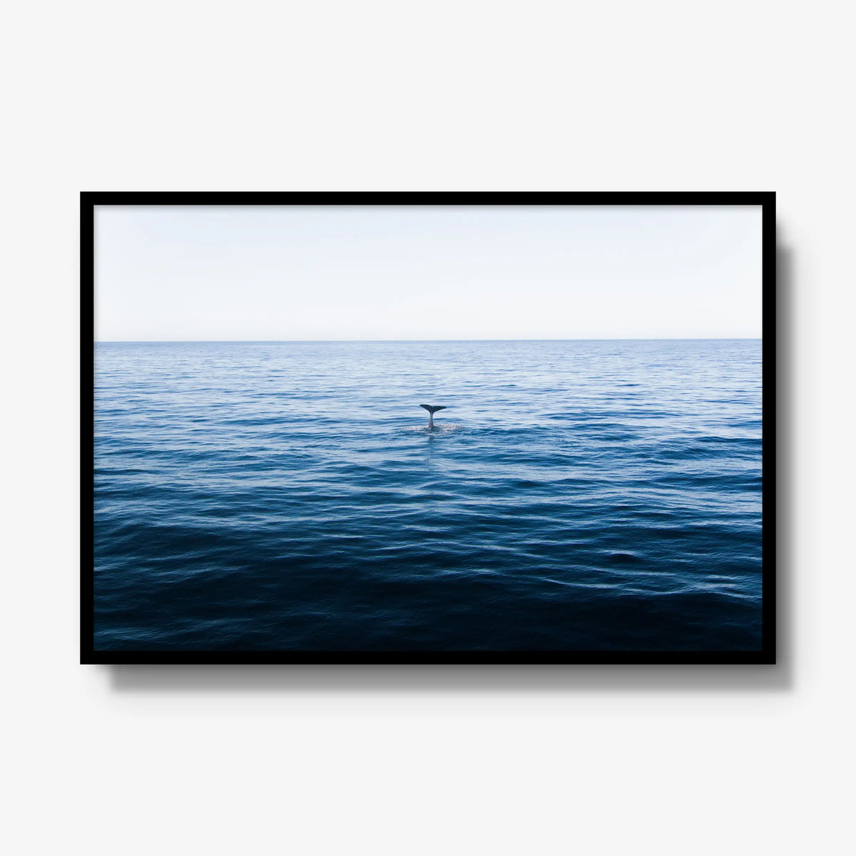 A Far — gallery / black / full
