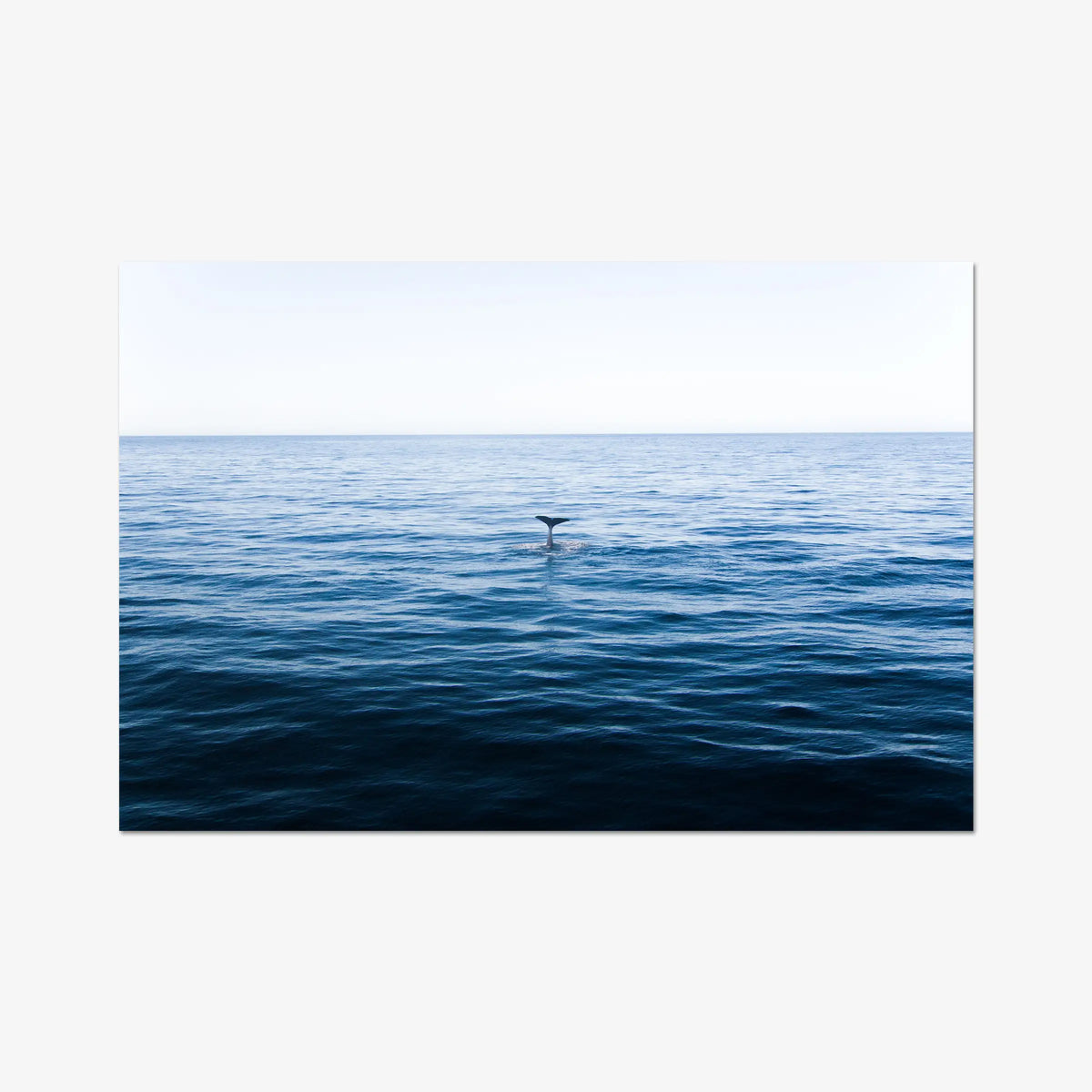 A Far — gallery / print / n/a