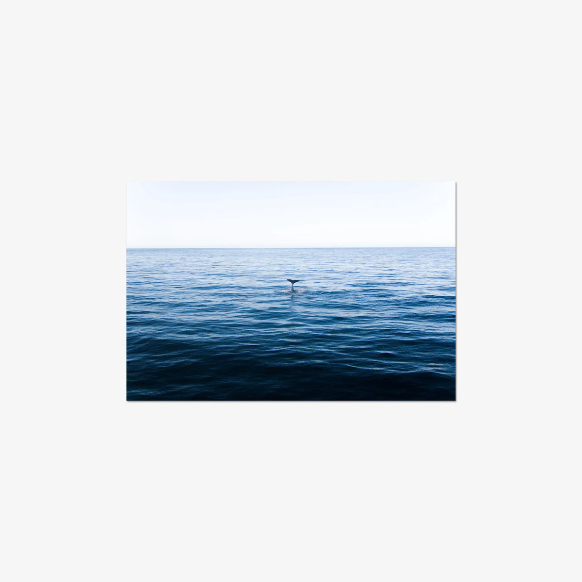 A Far — mini / digital / n/a