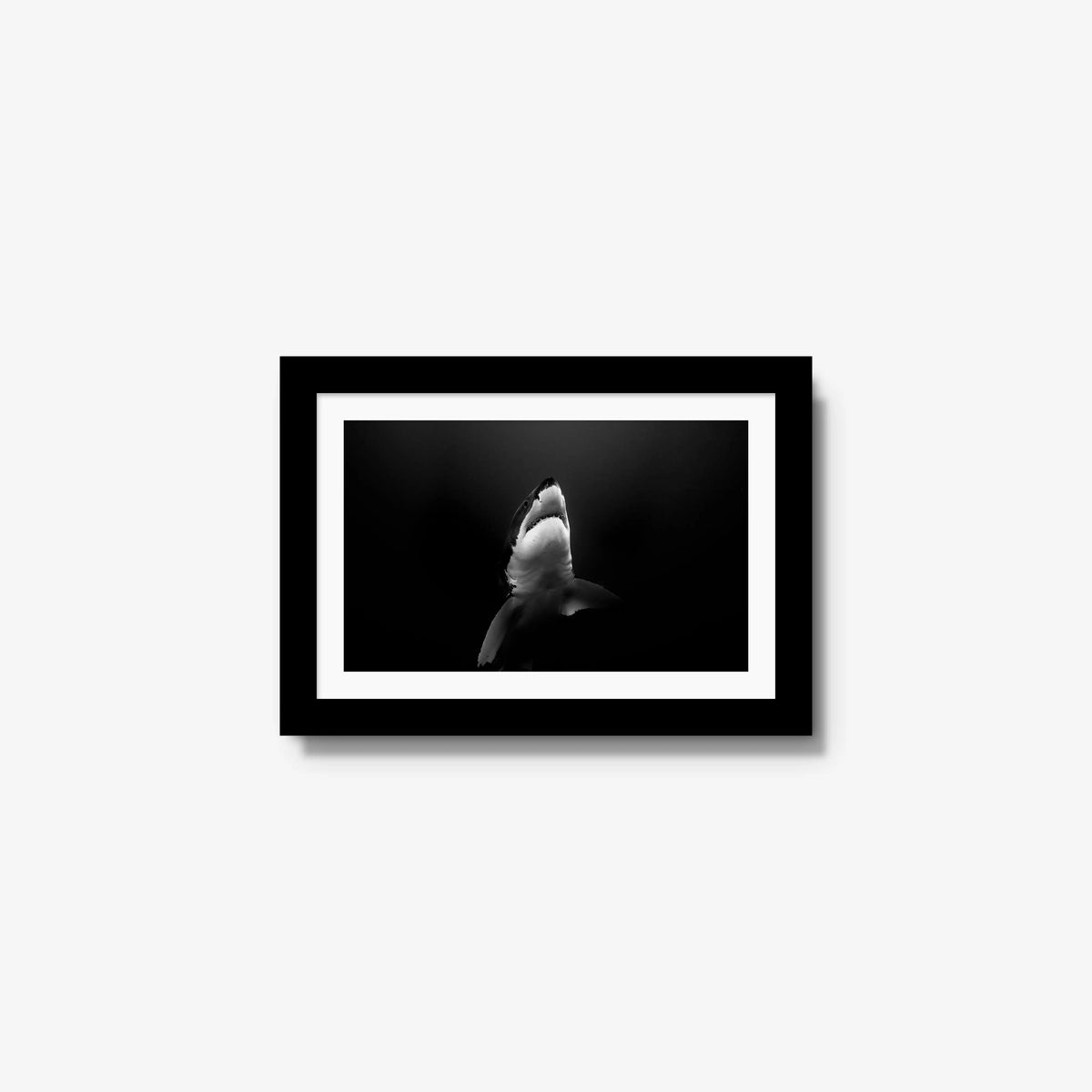 A Great White — mini / black / mat