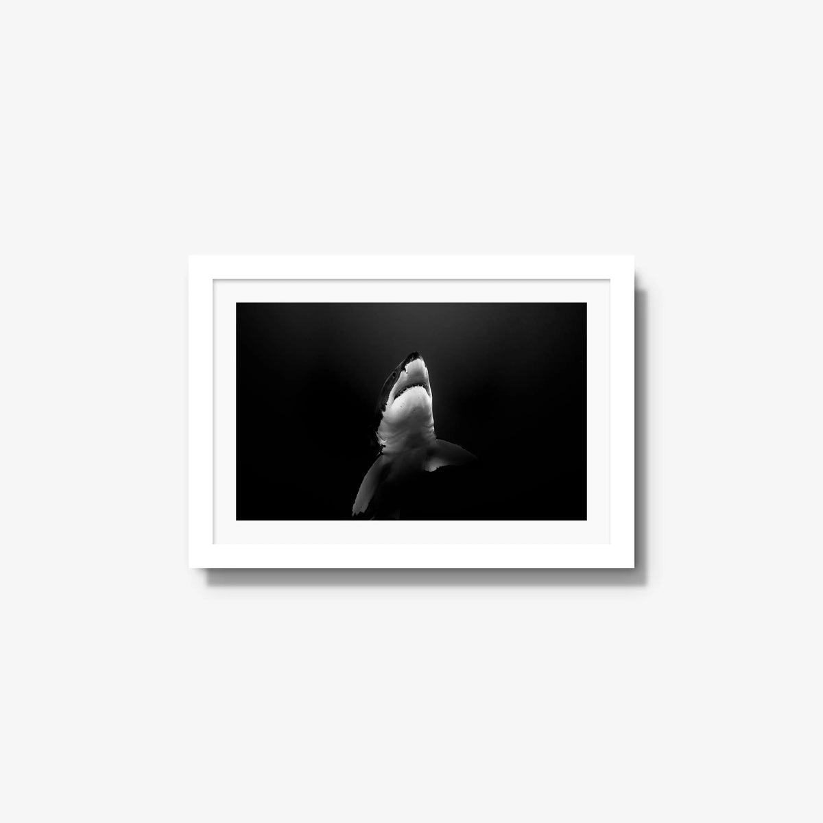 A Great White — small / white / mat