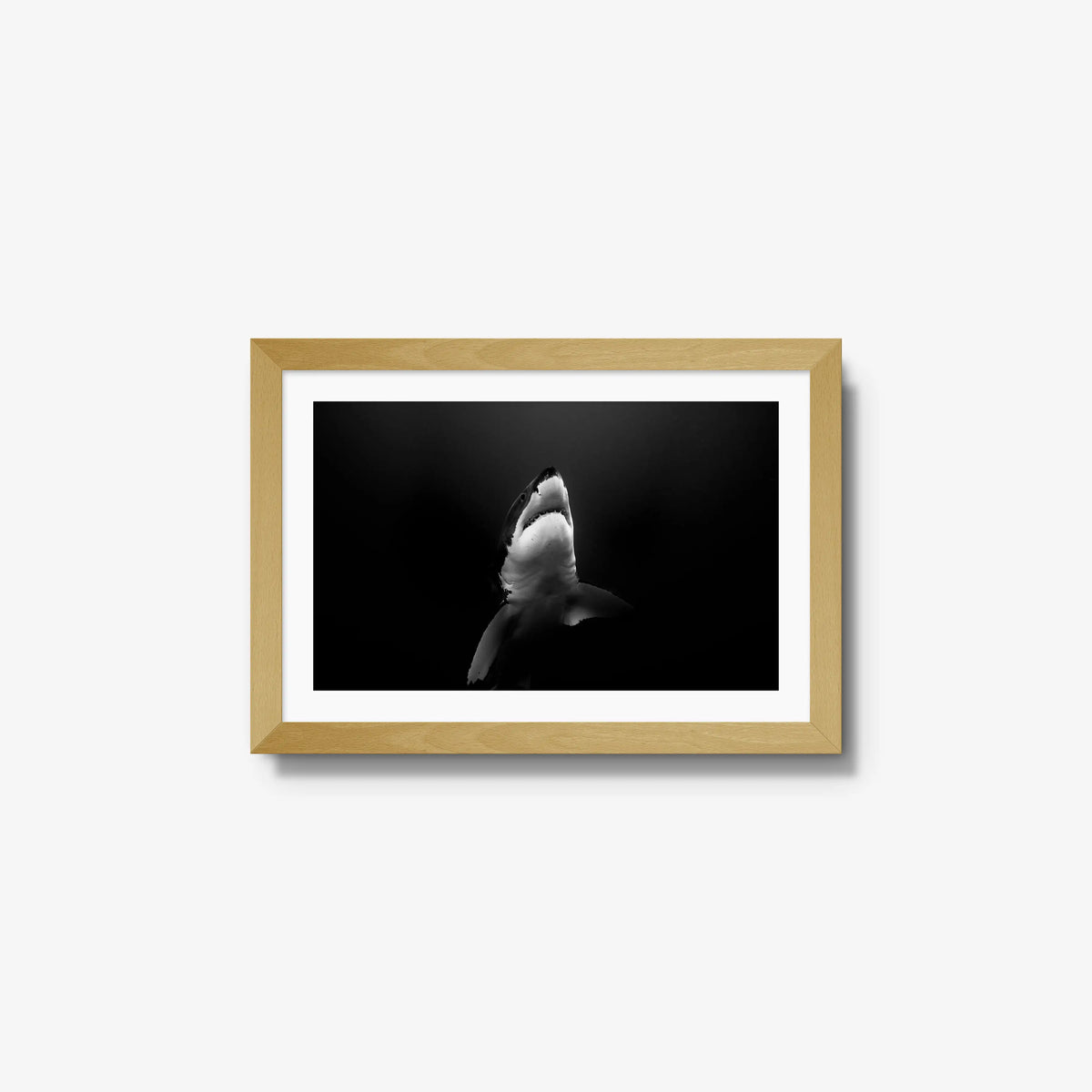 A Great White — small / natural / mat