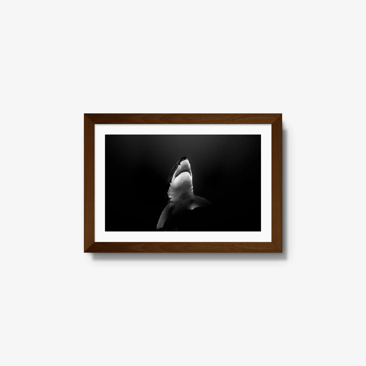 A Great White — small / brown / mat