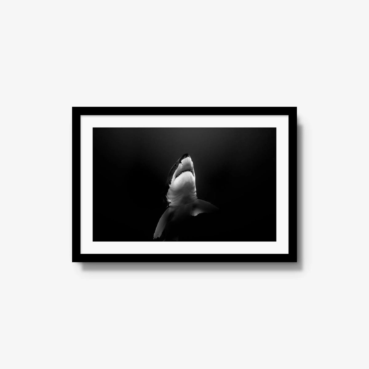 A Great White — medium / black / mat