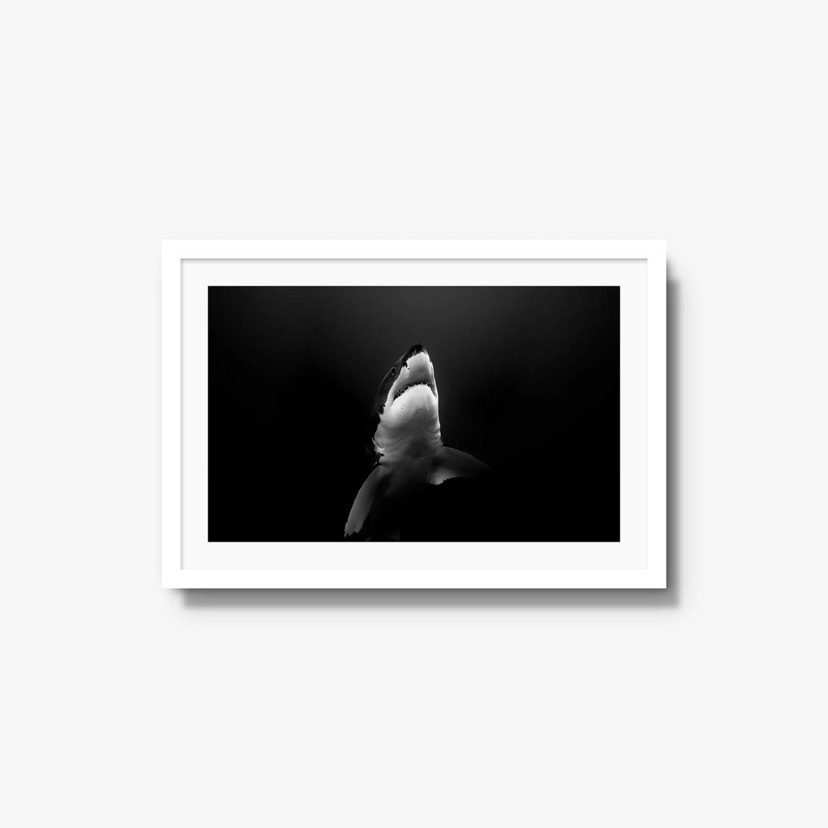 A Great White — medium / white / mat