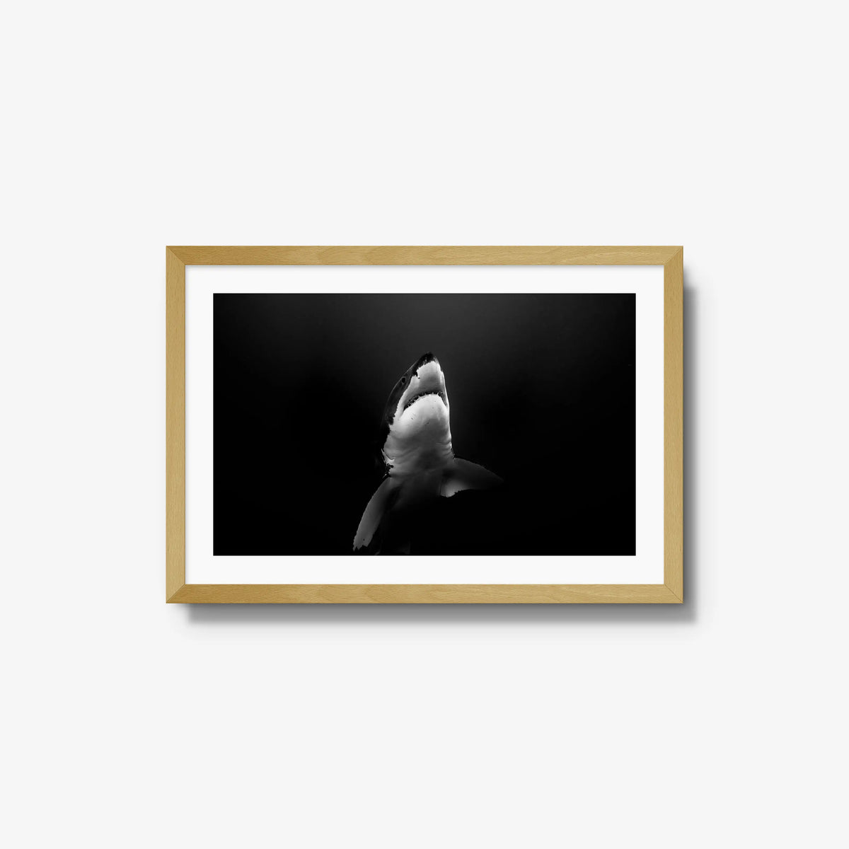 A Great White — medium / natural / mat