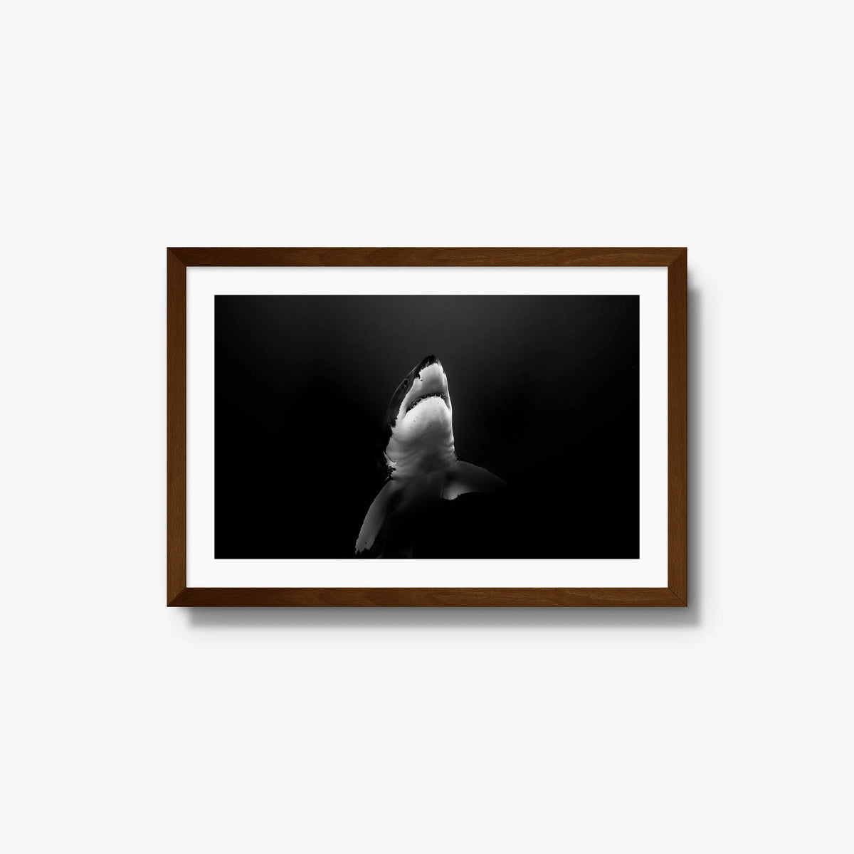 A Great White — medium / brown / mat