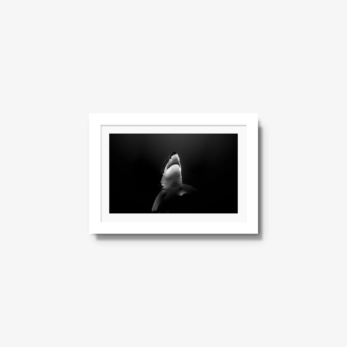 A Great White — mini / white / mat