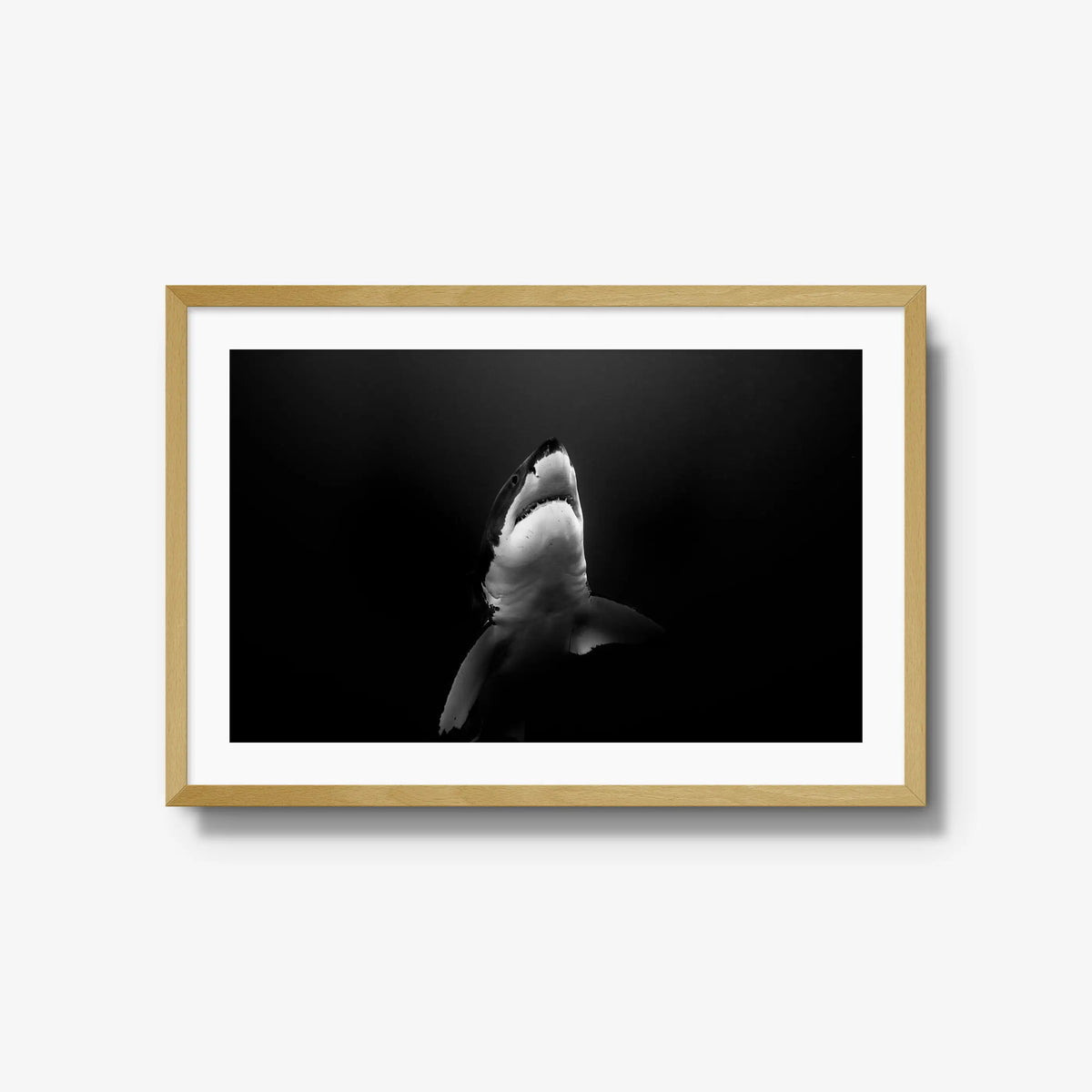 A Great White — large / natural / mat