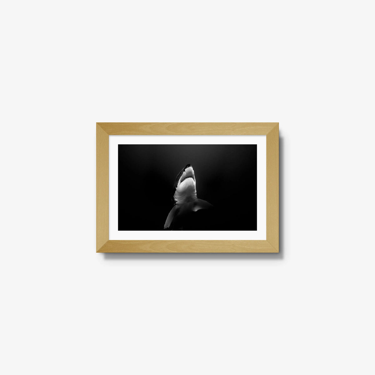 A Great White — mini / natural / mat