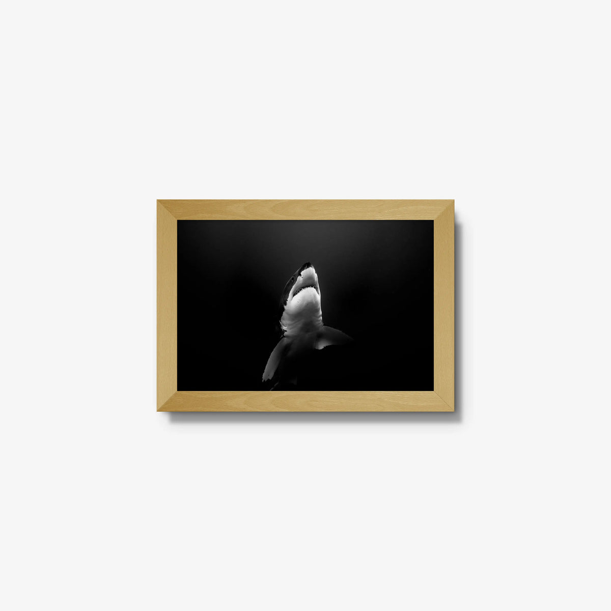 A Great White — mini / natural / full