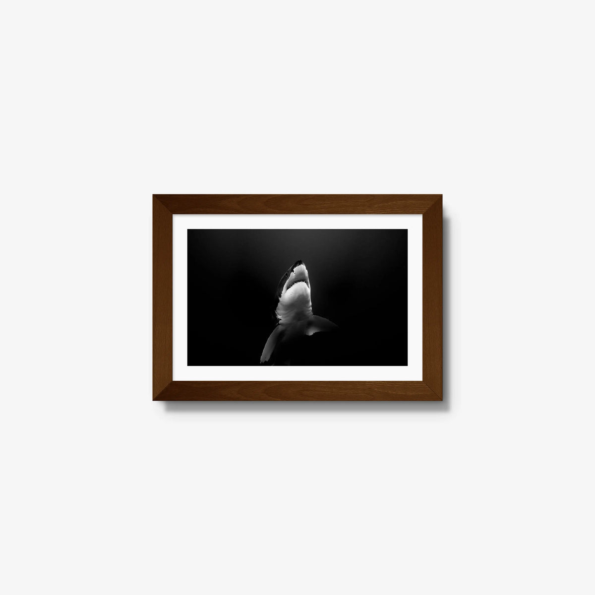 A Great White — mini / brown / mat