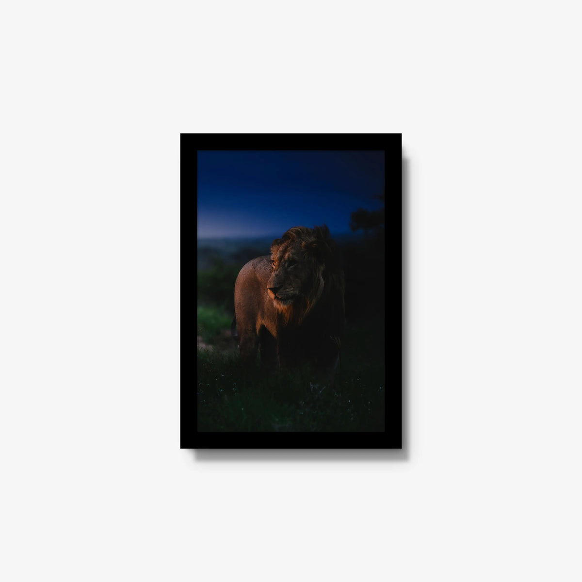 Between day and dark — small / black / full