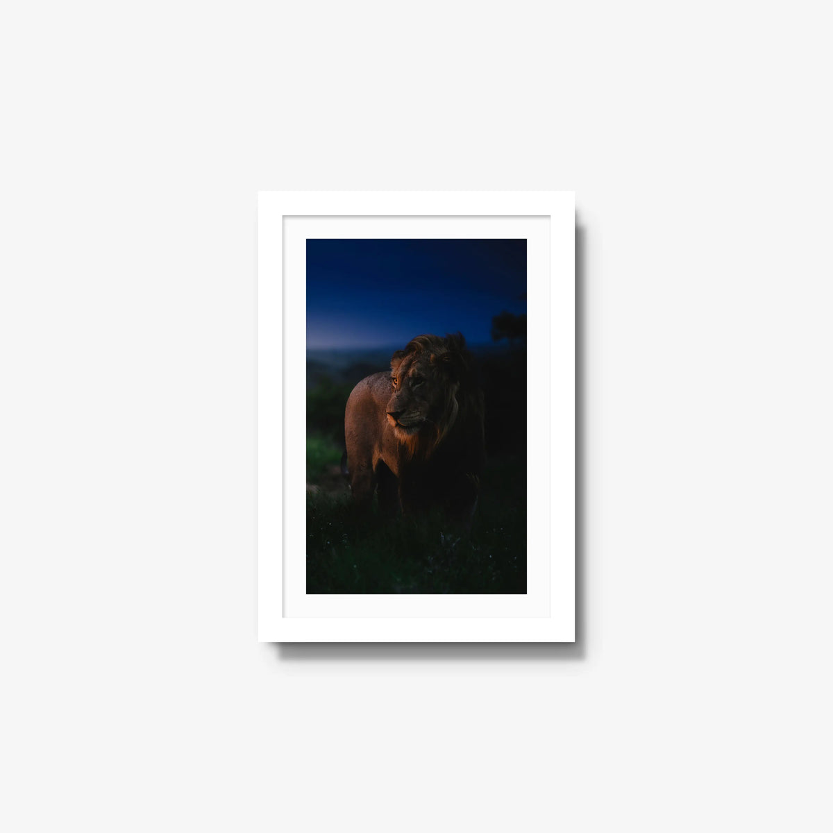 Between day and dark — small / white / mat