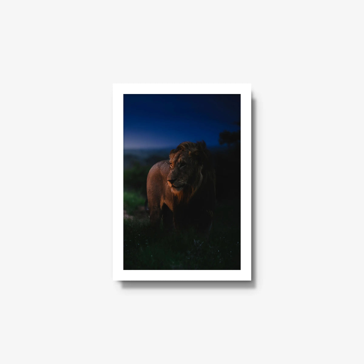 Between day and dark — small / white / full