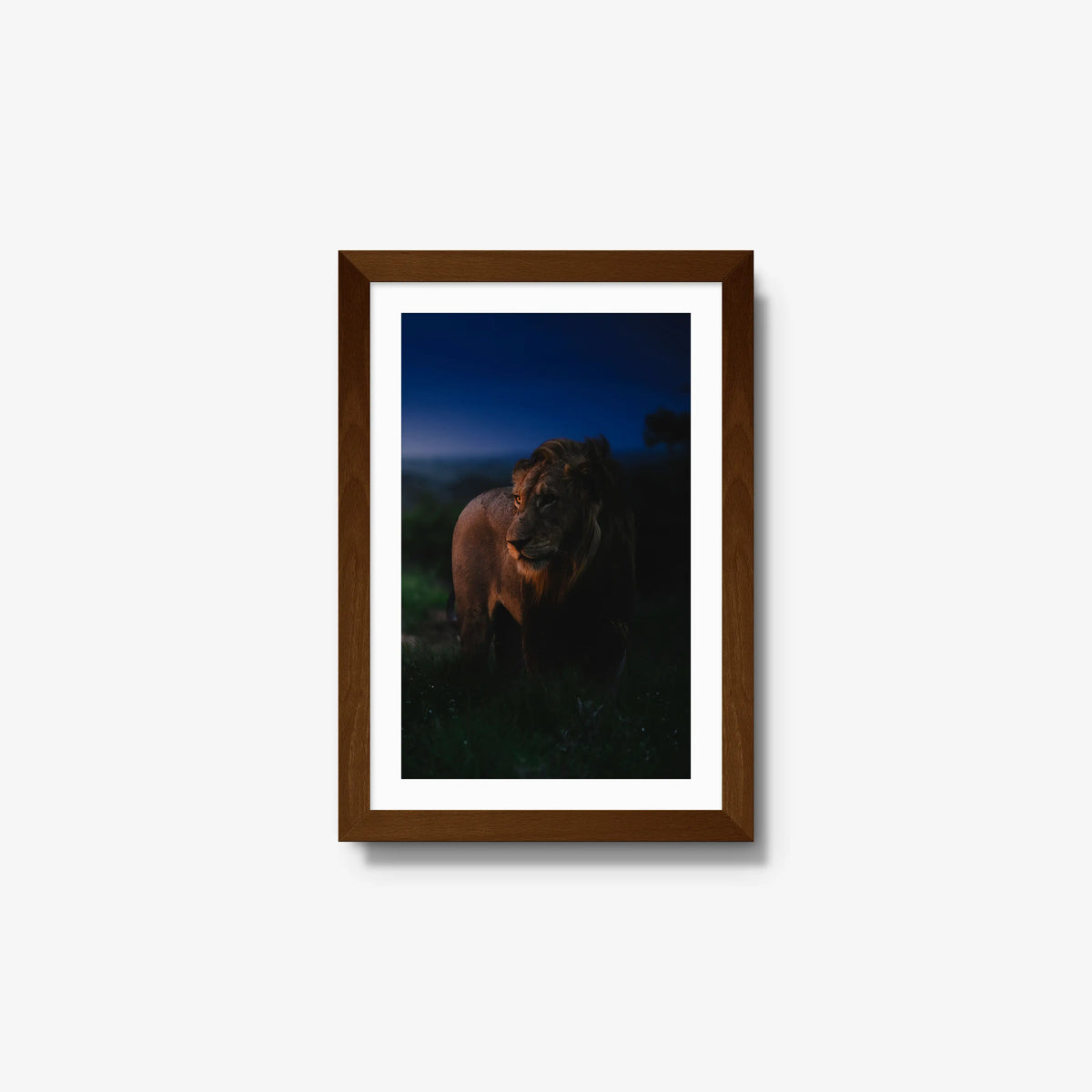 Between day and dark — small / brown / mat