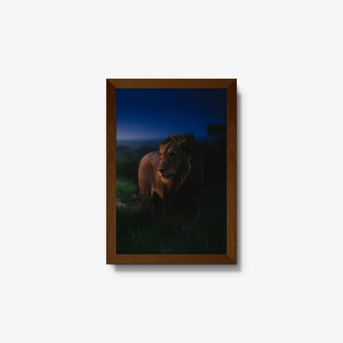 Between day and dark — small / brown / full