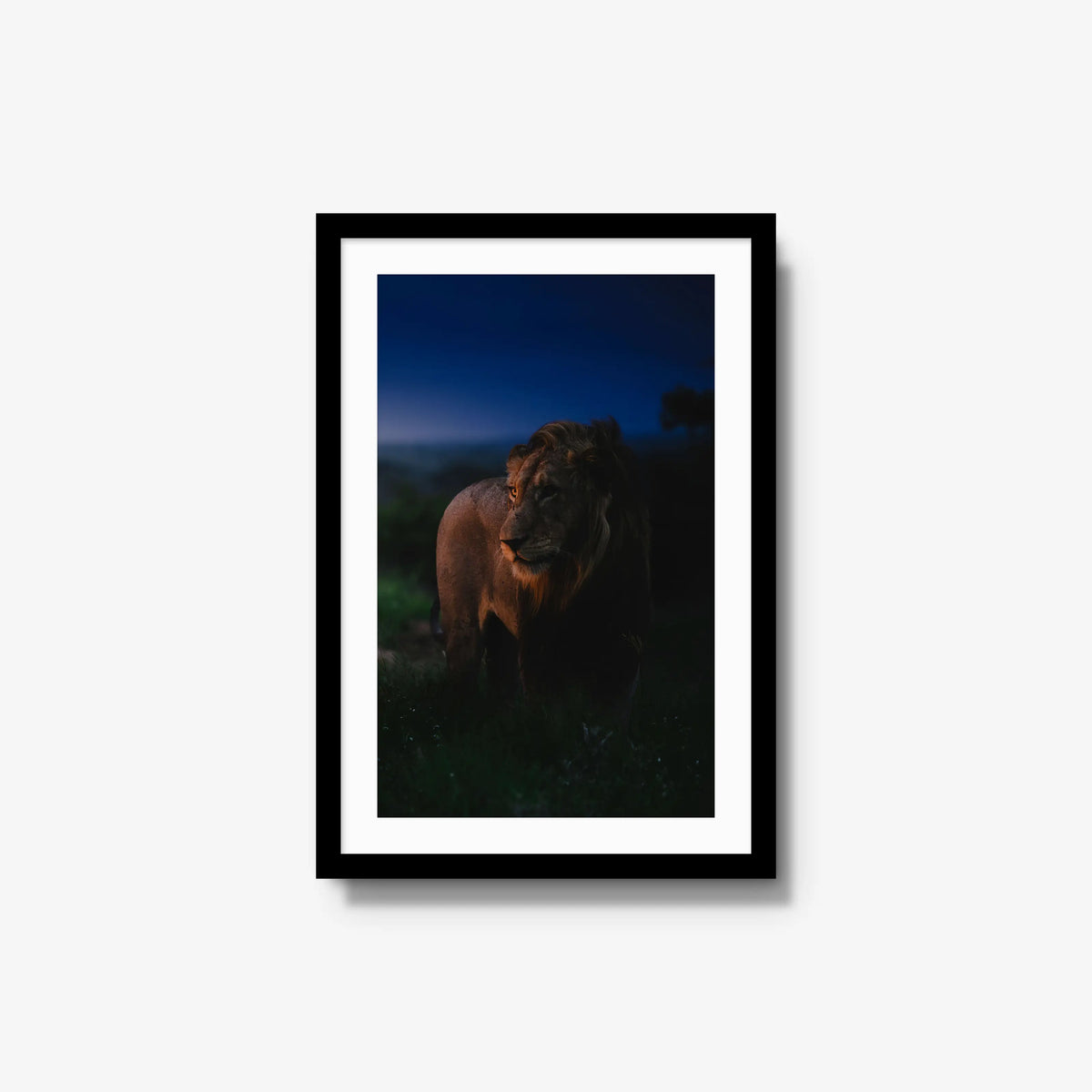 Between day and dark — medium / black / mat