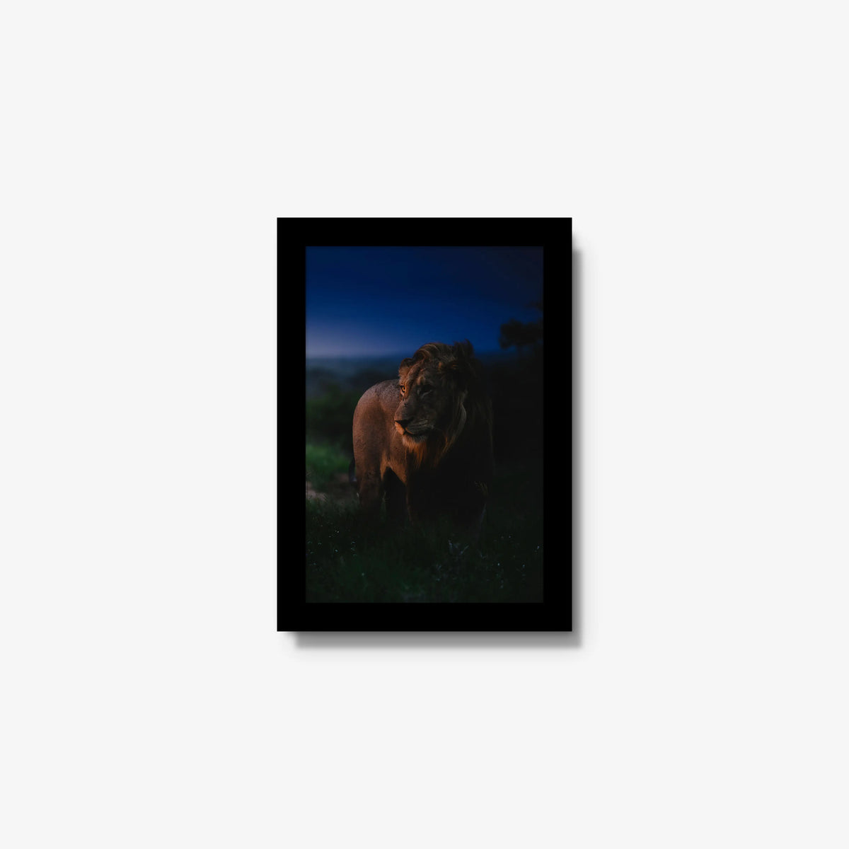 Between day and dark — mini / black / full