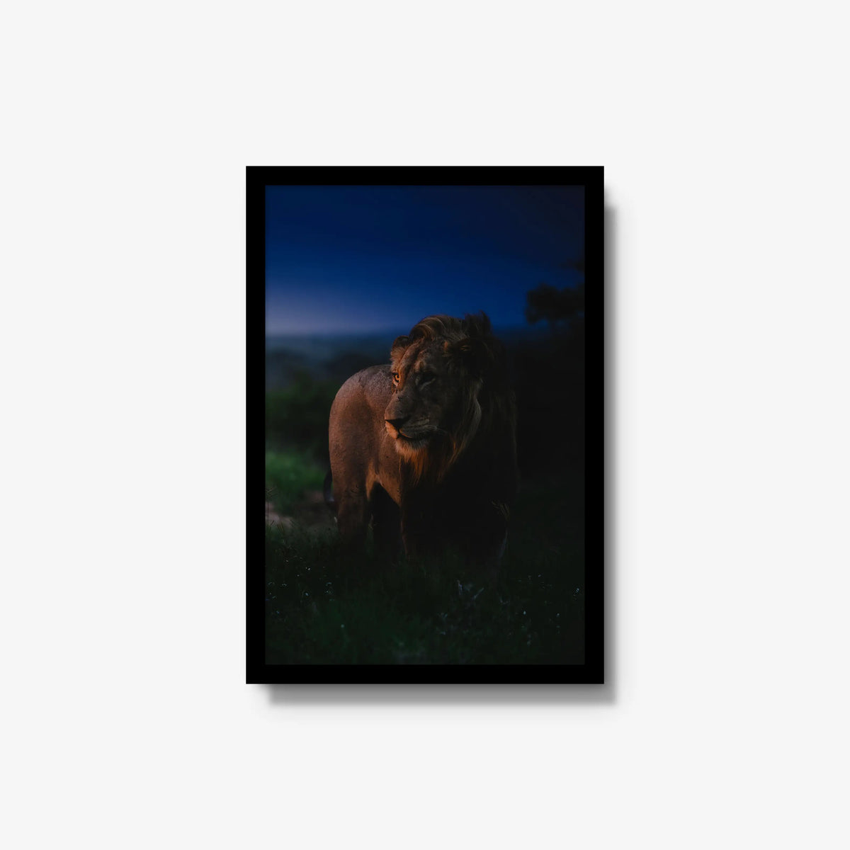 Between day and dark — medium / black / full