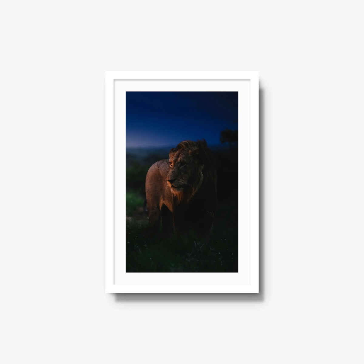 Between day and dark — medium / white / mat