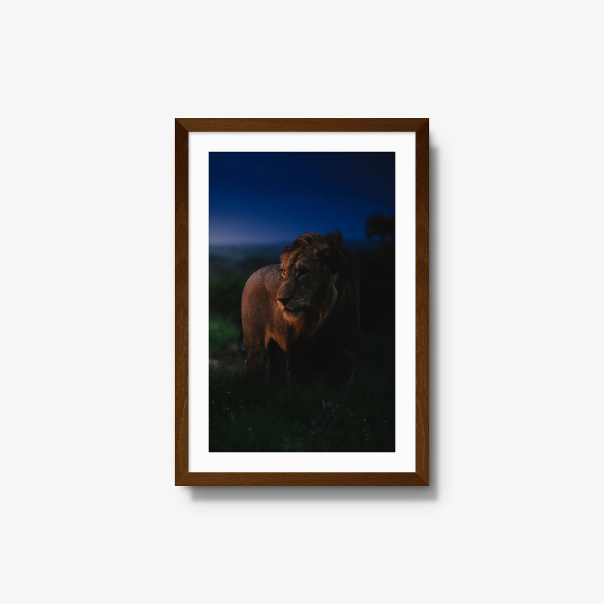 Between day and dark — medium / brown / mat