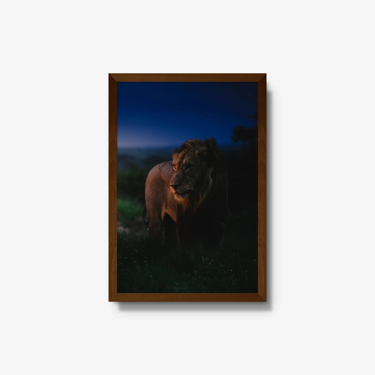 Between day and dark — medium / brown / full