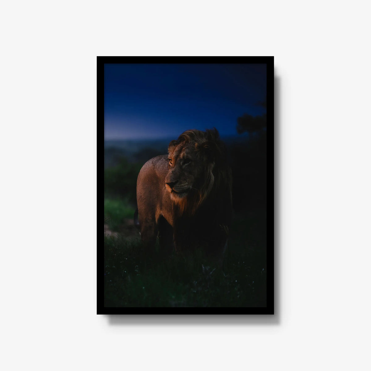 Between day and dark — large / black / full