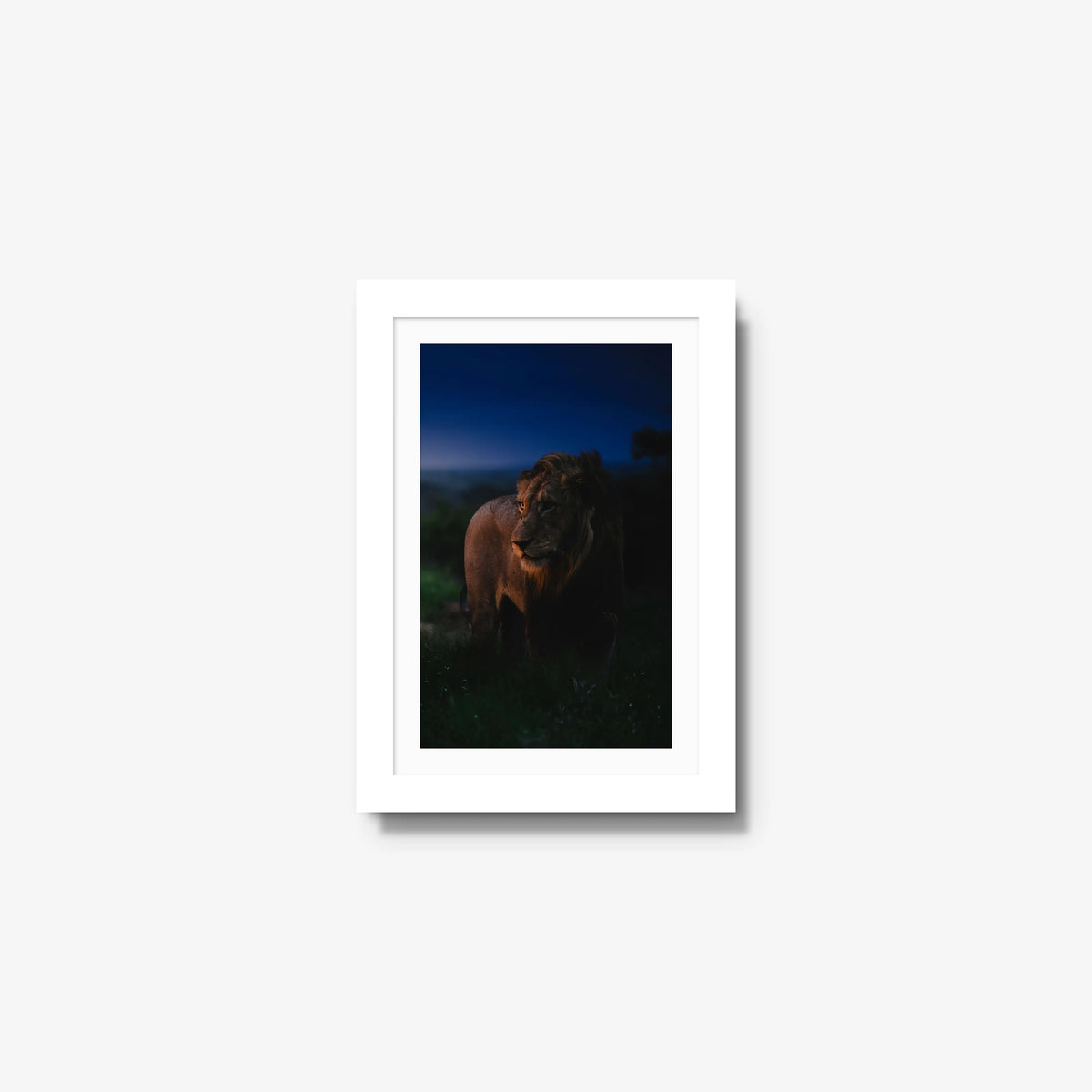 Between day and dark — mini / white / mat