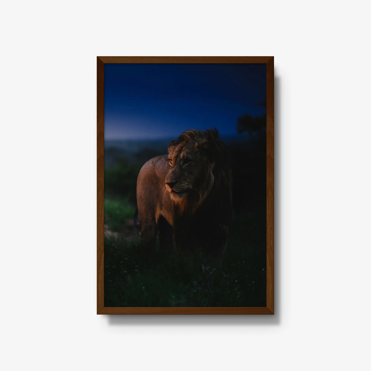 Between day and dark — large / brown / full