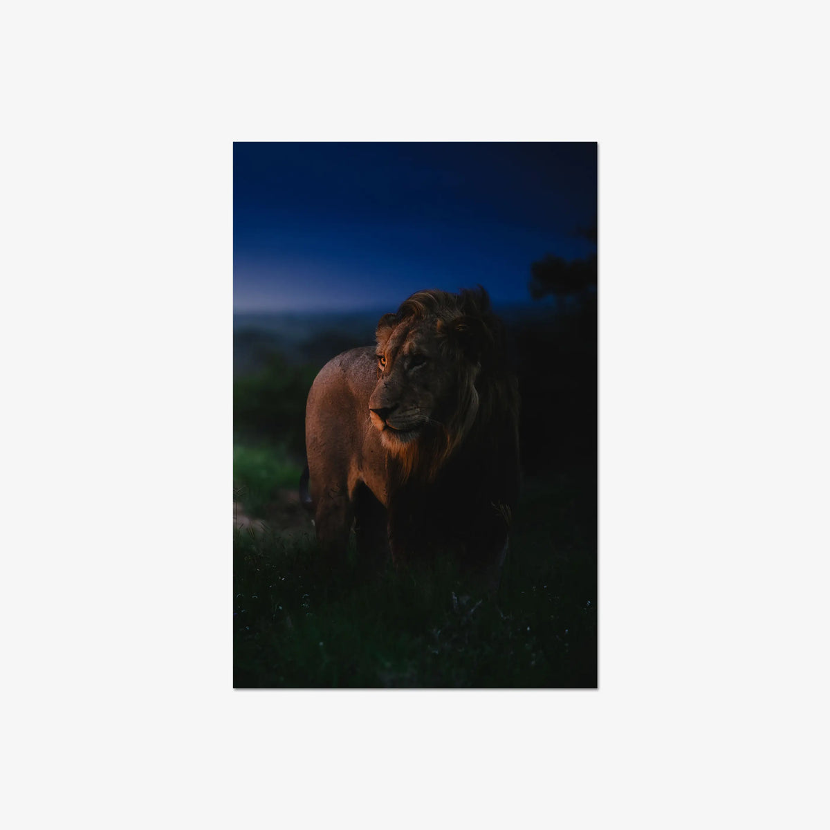 Between day and dark — large / print / n/a