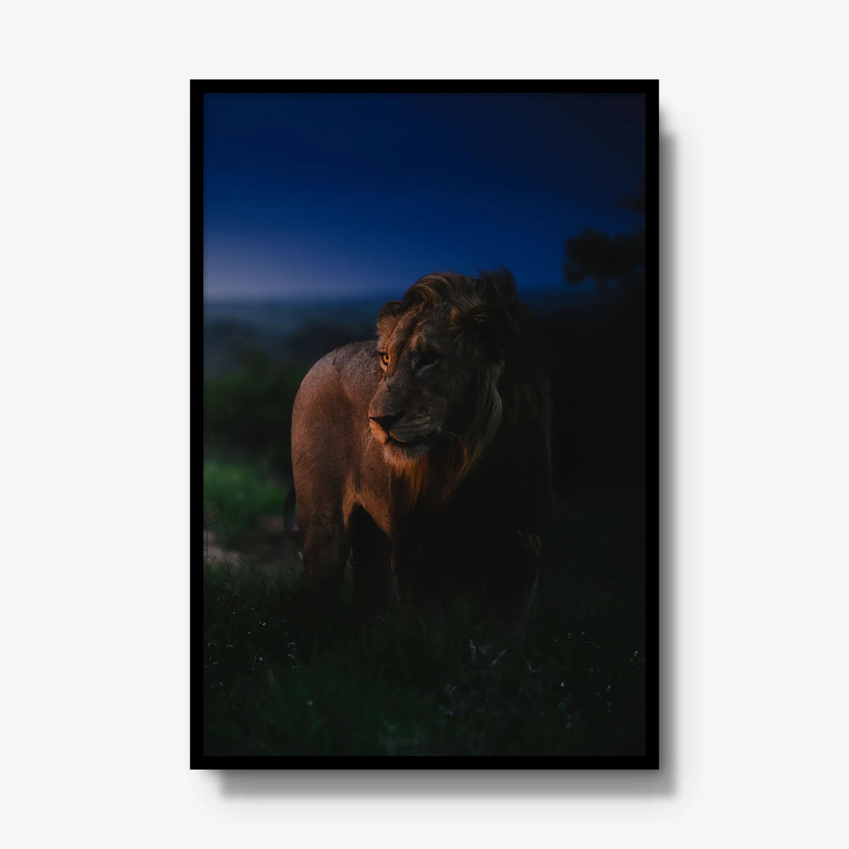 Between day and dark — gallery / black / full
