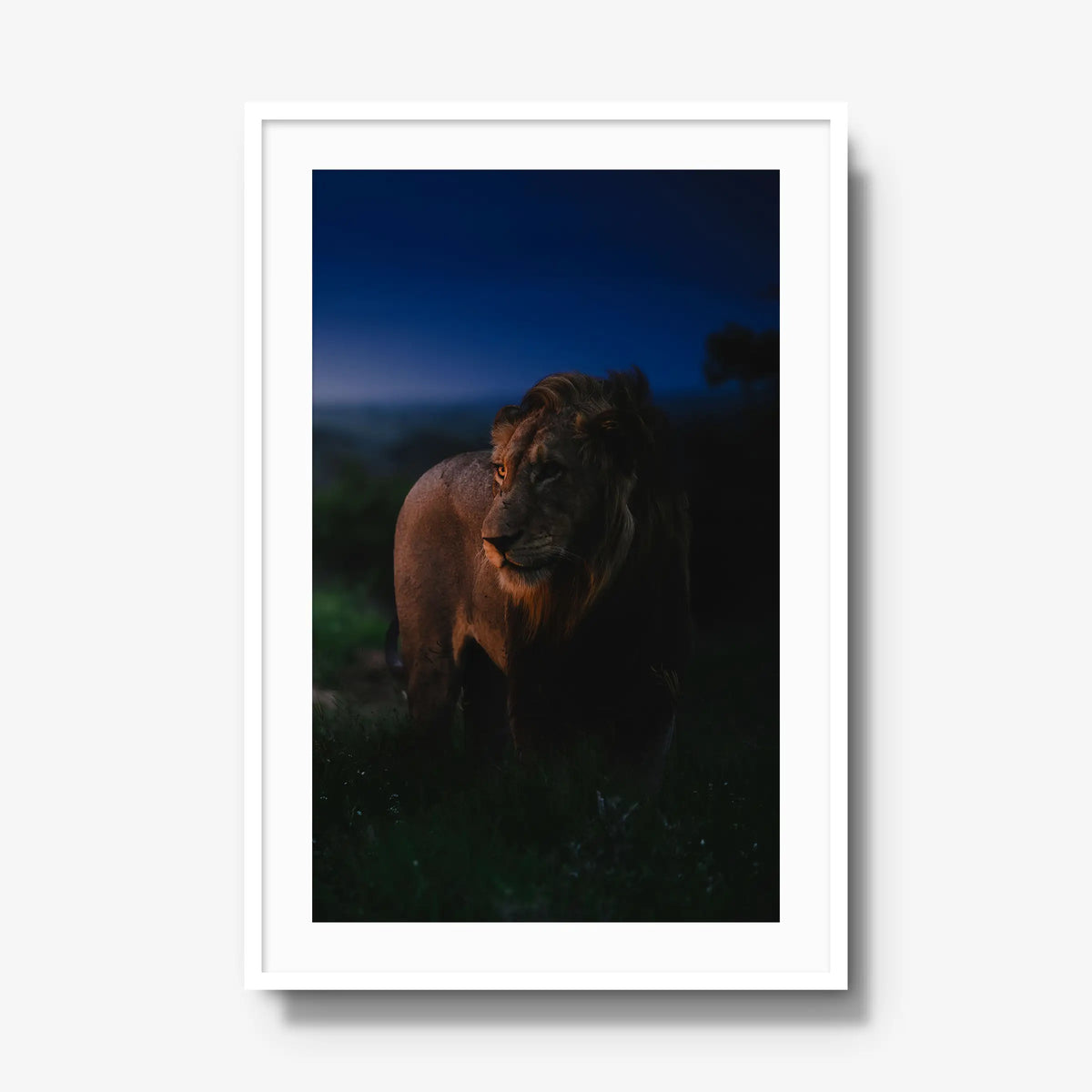 Between day and dark — gallery / white / mat