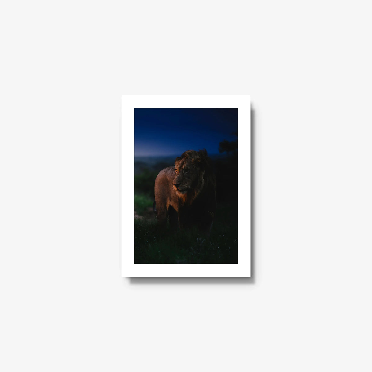 Between day and dark — mini / white / full