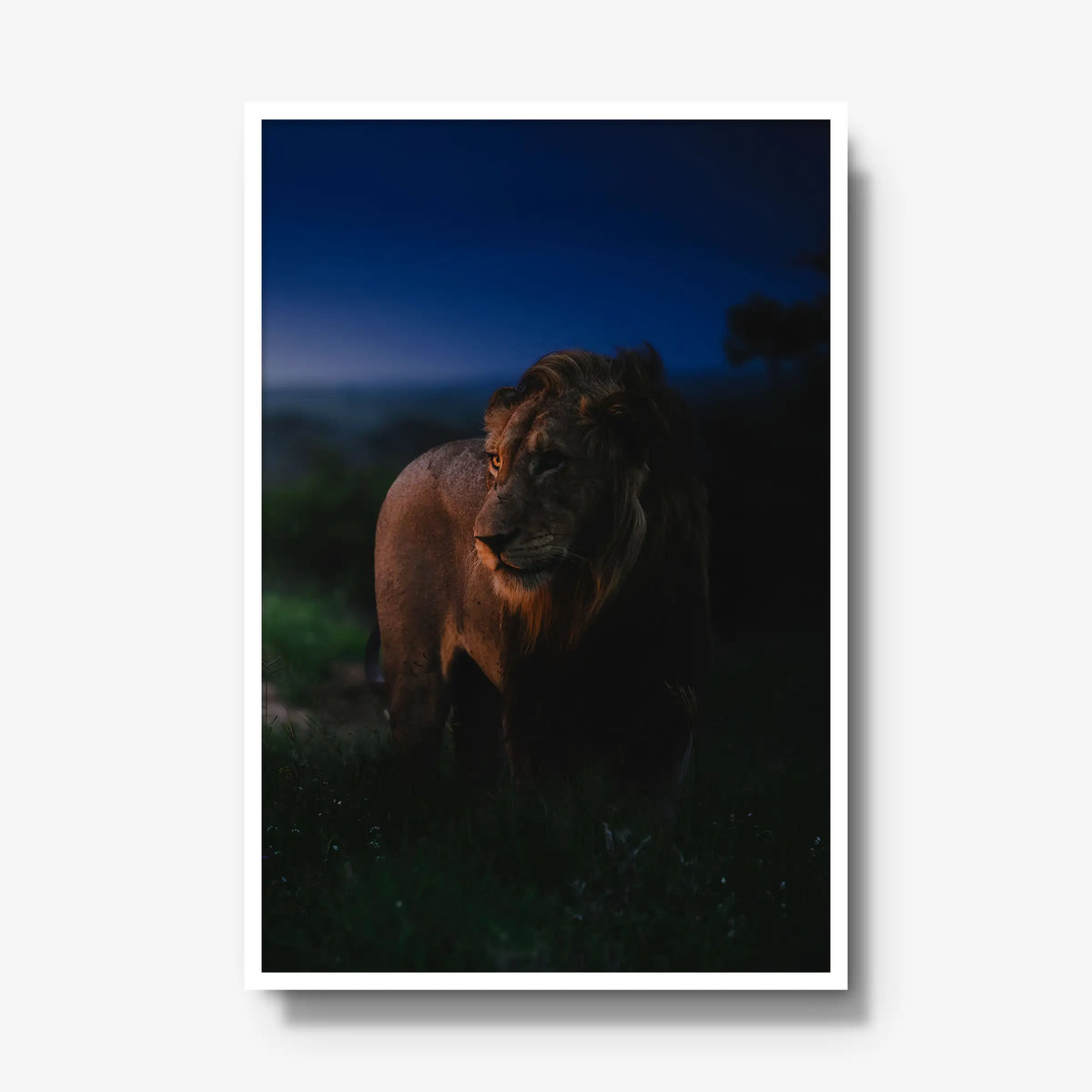 Between day and dark — gallery / white / full