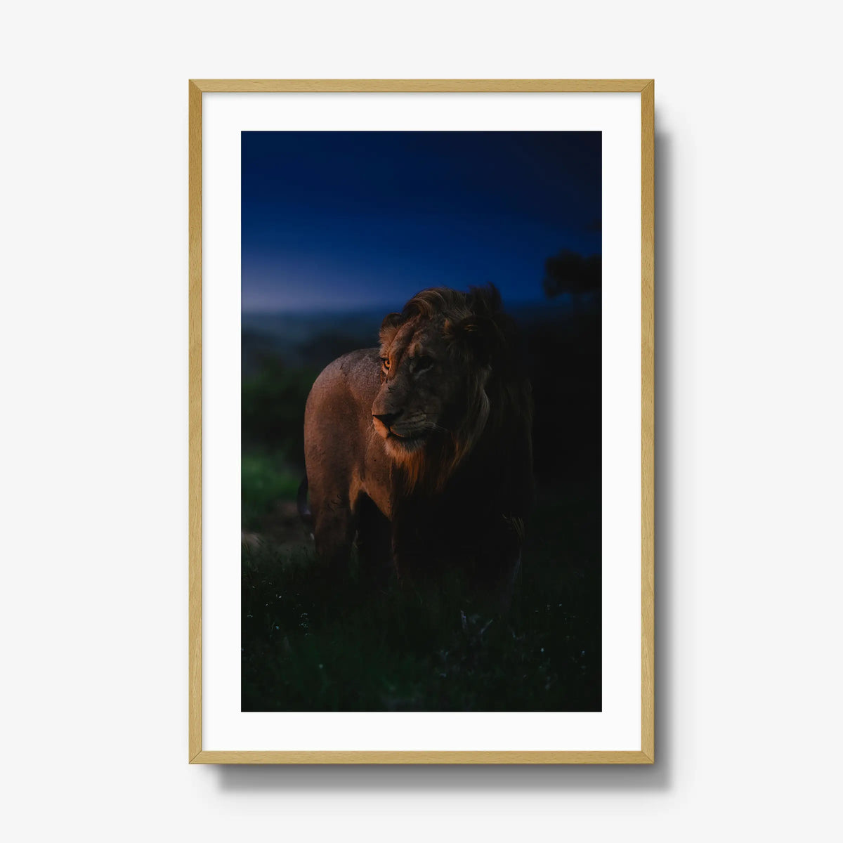 Between day and dark — gallery / natural / mat