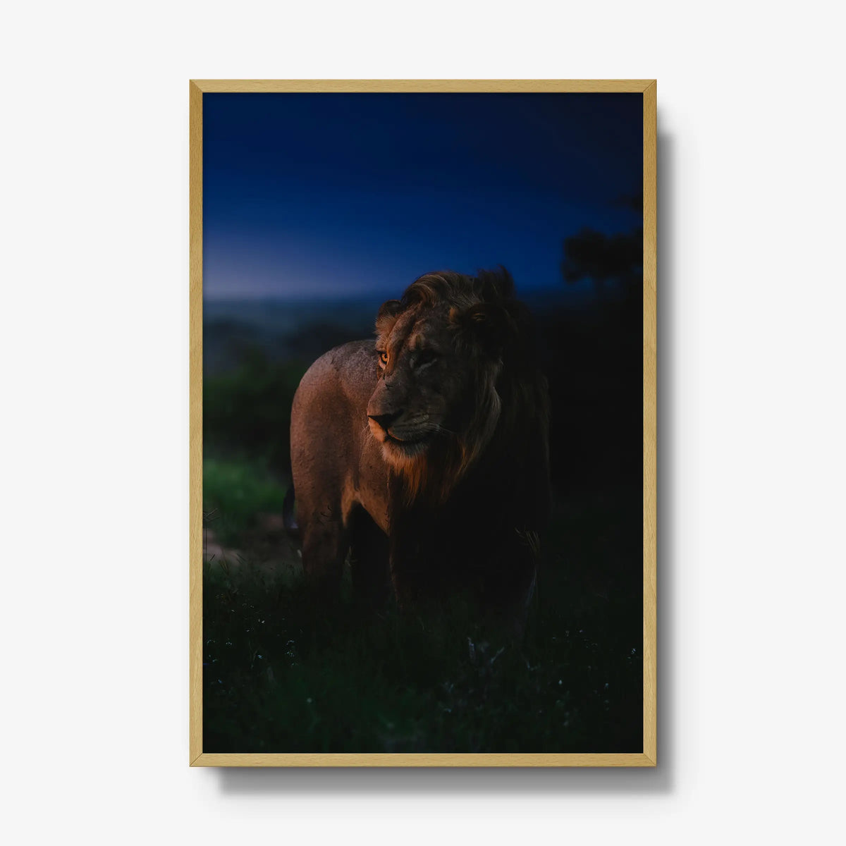 Between day and dark — gallery / natural / full