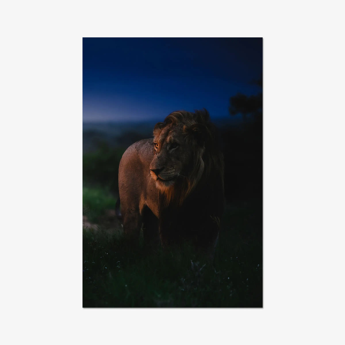 Between day and dark — gallery / print / n/a