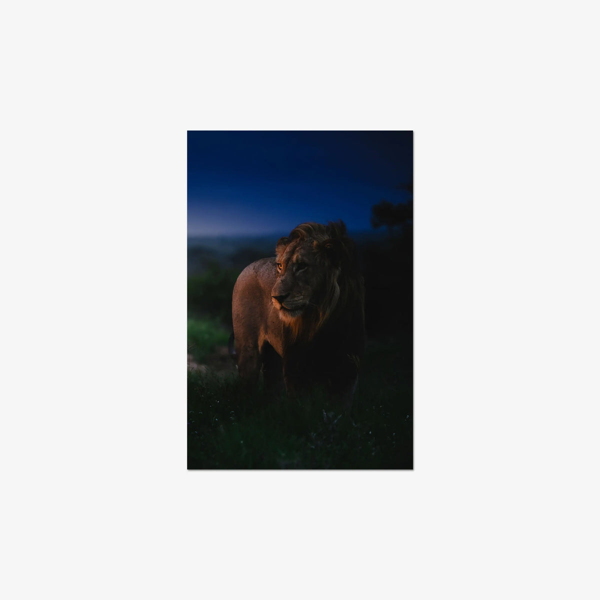 Between day and dark — mini / digital / n/a