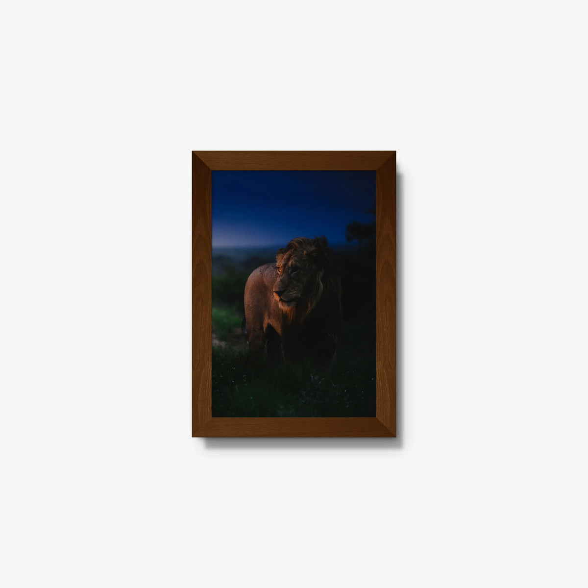 Between day and dark — mini / brown / full