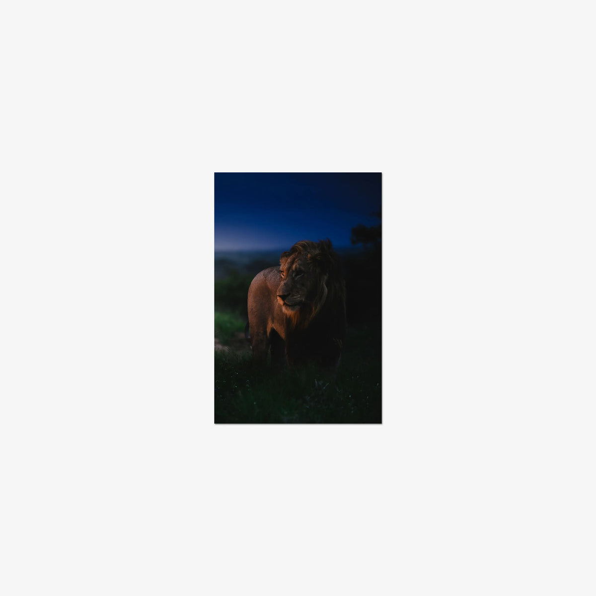 Between day and dark — mini / print / n/a