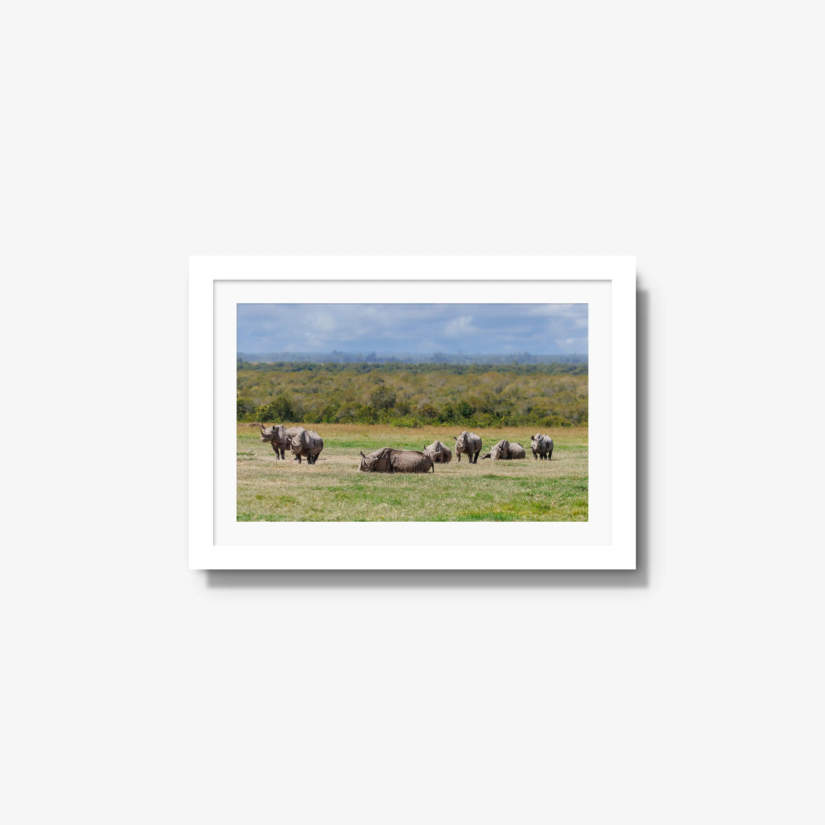Legacy — small / white / mat