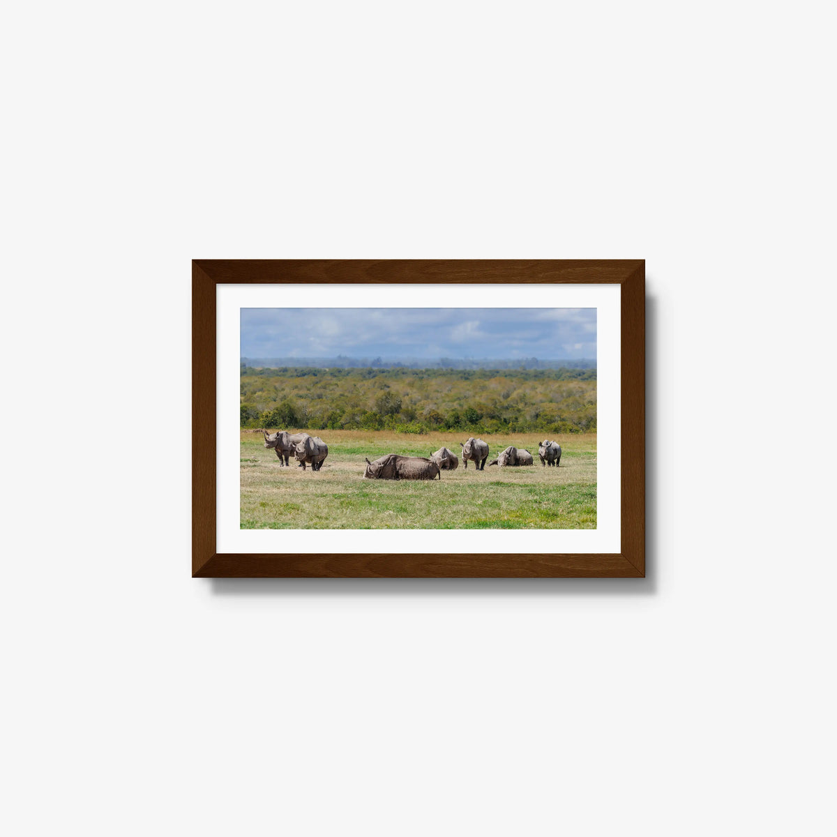 Legacy — small / brown / mat