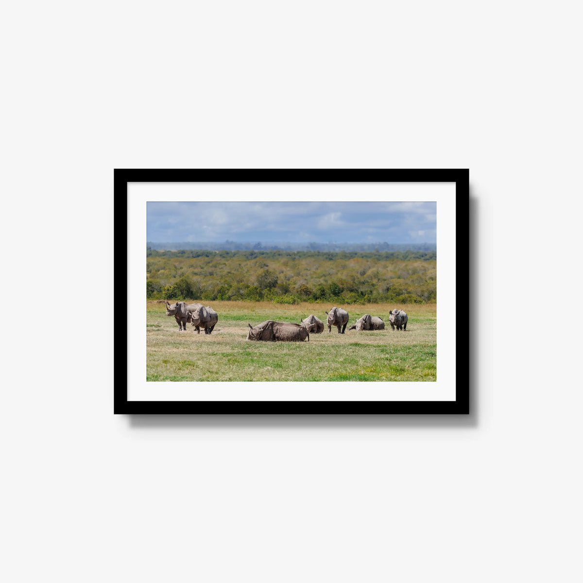 Legacy — medium / black / mat