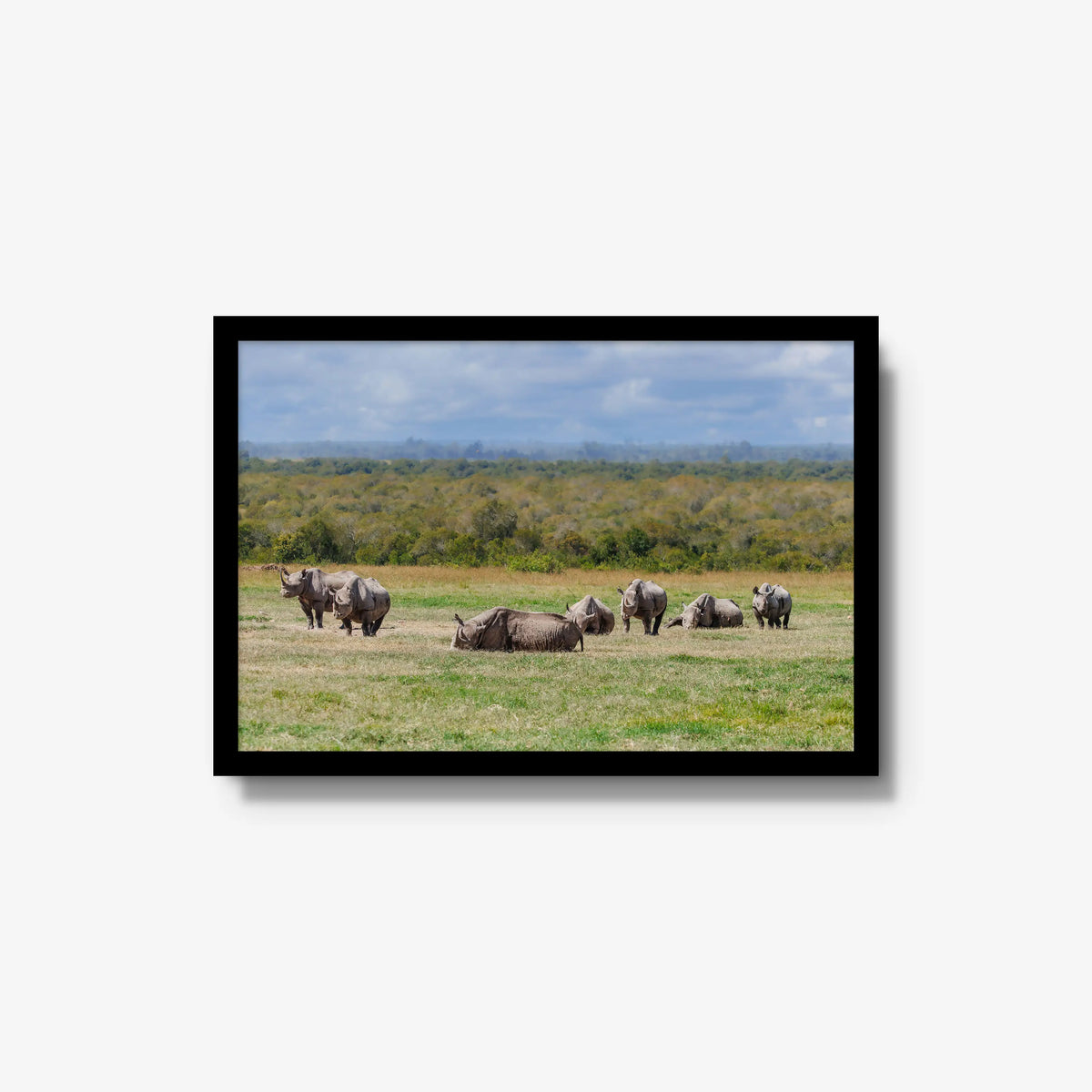 Legacy — medium / black / full