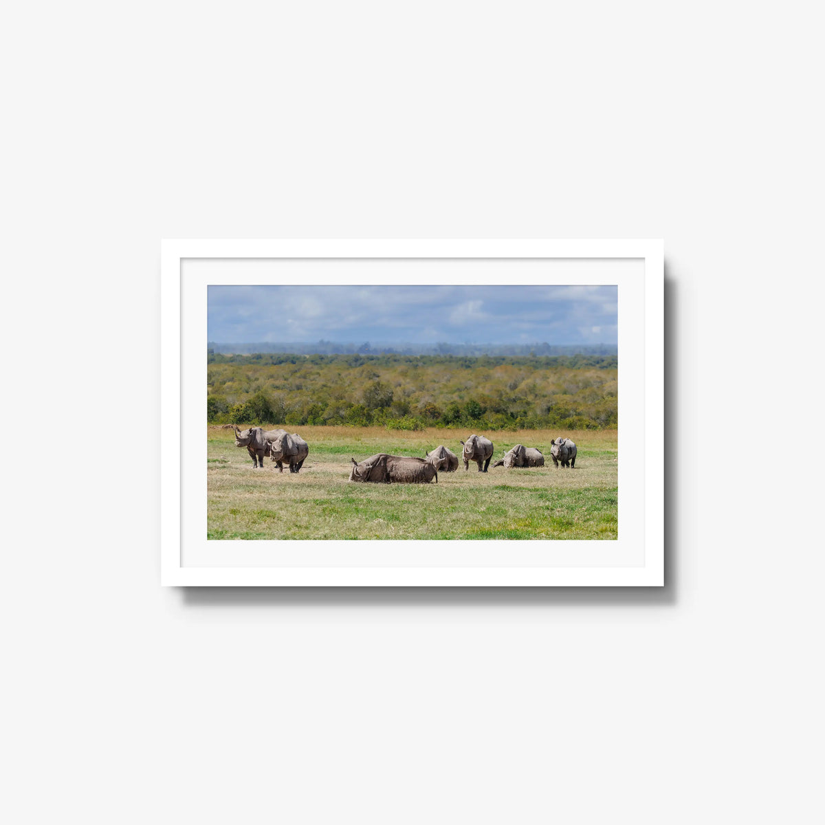 Legacy — medium / white / mat