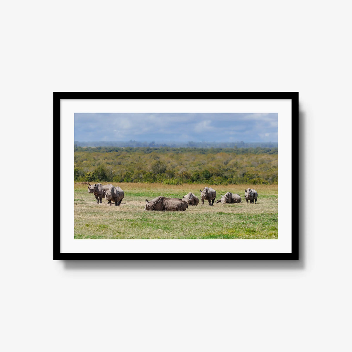 Legacy — large / black / mat