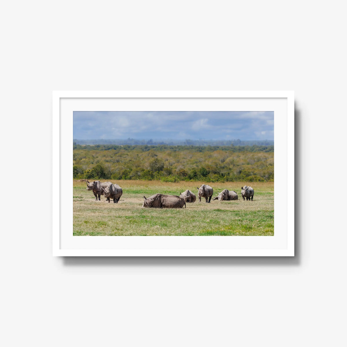 Legacy — large / white / mat